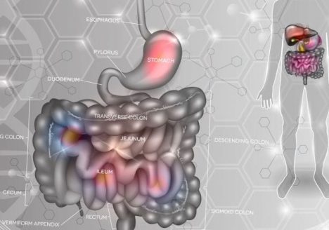 Diagnostyka celiakii Lublin