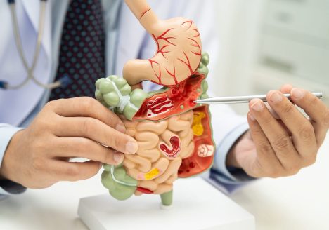 Healthy intestines in summer
