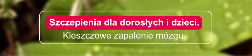 szczepienie na kleszczowe zapalenie mózgu