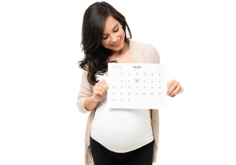 Pregnancy checkup calendar